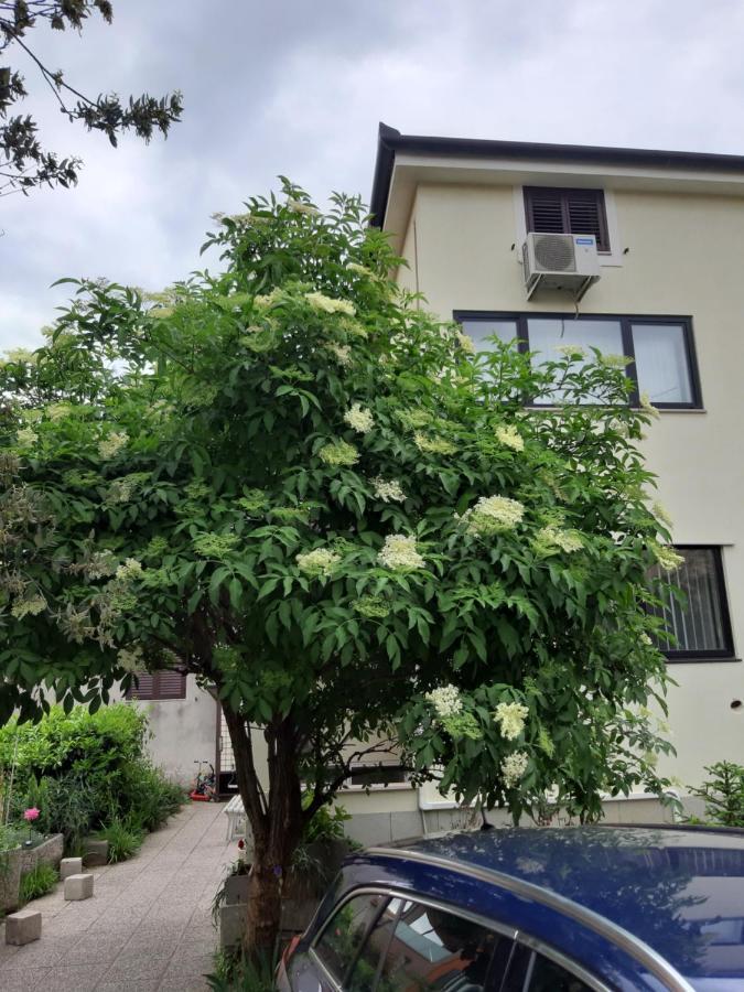Apartma Lavela Изола Екстериор снимка